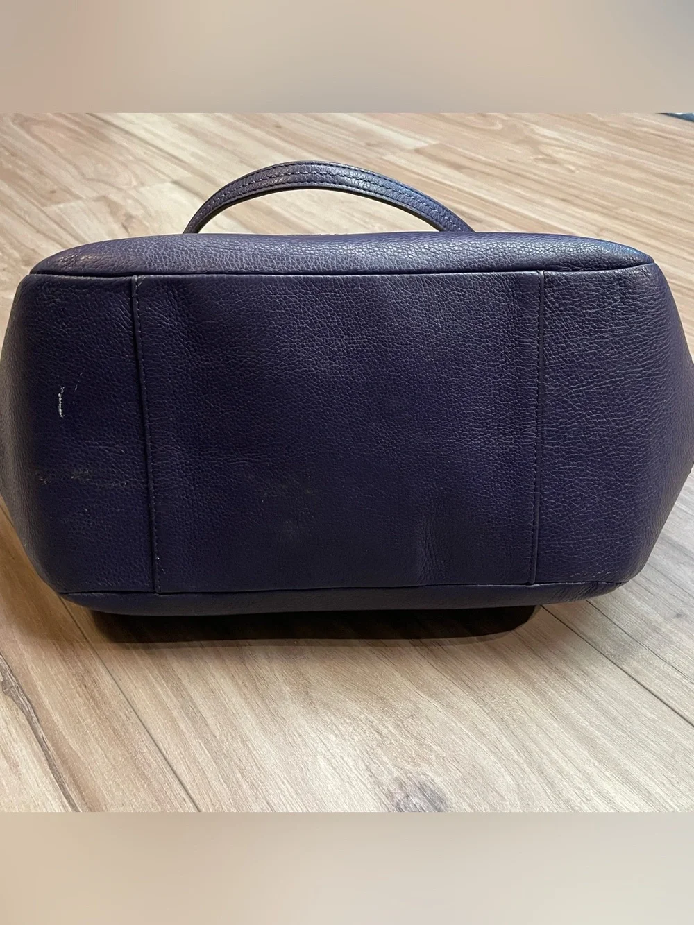 Coach Park Signature Carrie Tote